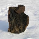 Holzskulpturen 4