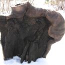 Holzskulpturen Titel